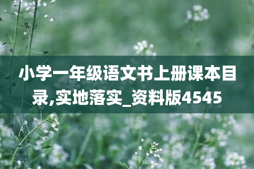 小学一年级语文书上册课本目录,实地落实_资料版4545