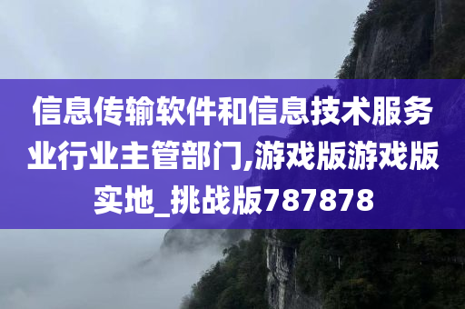 信息传输软件和信息技术服务业行业主管部门,游戏版游戏版实地_挑战版787878