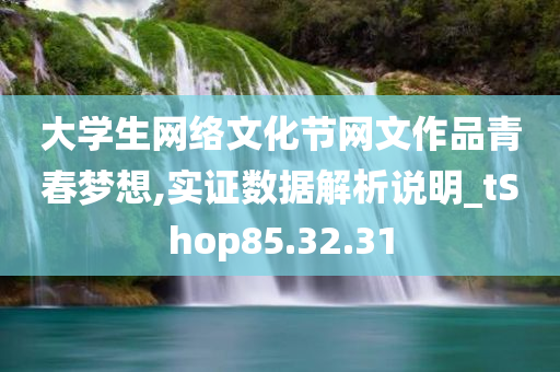 大学生网络文化节网文作品青春梦想,实证数据解析说明_tShop85.32.31