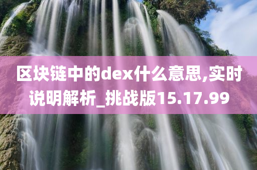 区块链中的dex什么意思,实时说明解析_挑战版15.17.99