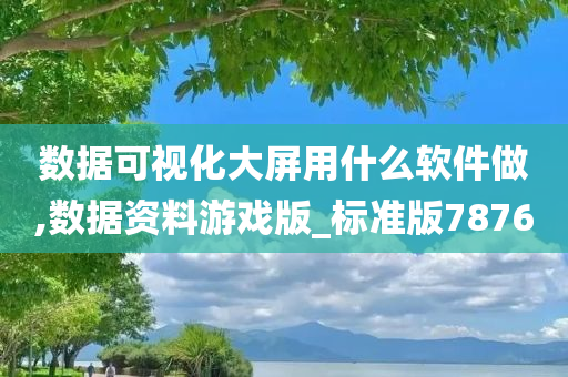 数据可视化大屏用什么软件做,数据资料游戏版_标准版7876