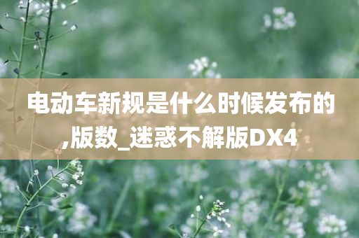 电动车新规是什么时候发布的,版数_迷惑不解版DX4