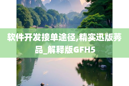 软件开发接单途径,精实迅版莠品_解释版GFH5