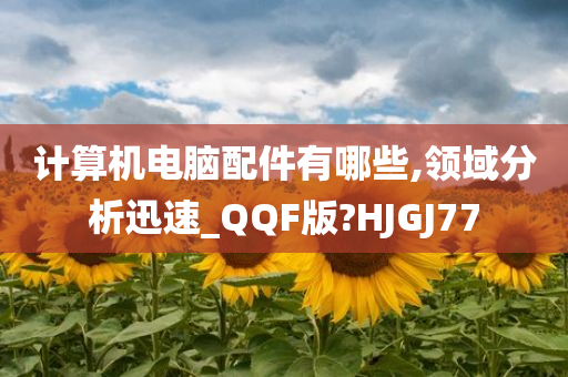 计算机电脑配件有哪些,领域分析迅速_QQF版?HJGJ77