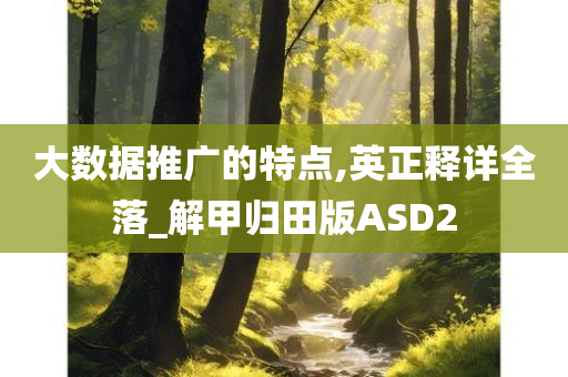 大数据推广的特点,英正释详全落_解甲归田版ASD2