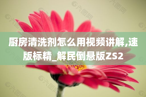 厨房清洗剂怎么用视频讲解,速版标精_解民倒悬版ZS2