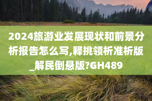 2024旅游业发展现状和前景分析报告怎么写,释挑领析准析版_解民倒悬版?GH489