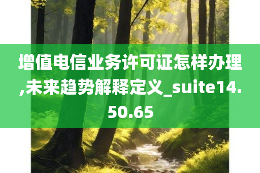 增值电信业务许可证怎样办理,未来趋势解释定义_suite14.50.65