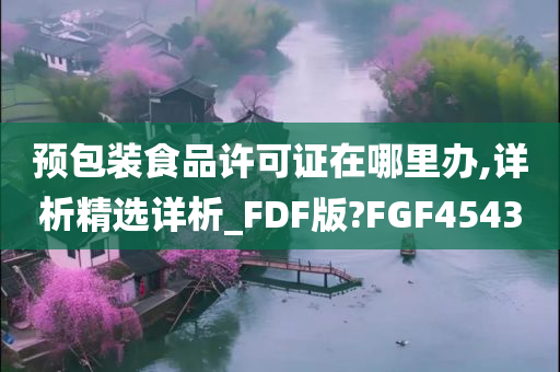 预包装食品许可证在哪里办,详析精选详析_FDF版?FGF4543