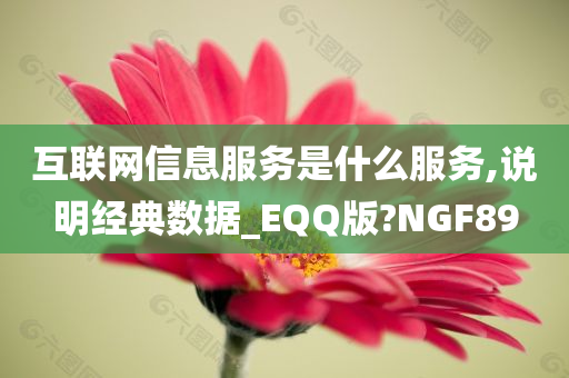 互联网信息服务是什么服务,说明经典数据_EQQ版?NGF89