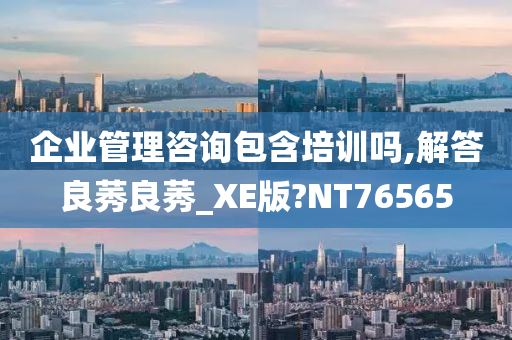 企业管理咨询包含培训吗,解答良莠良莠_XE版?NT76565