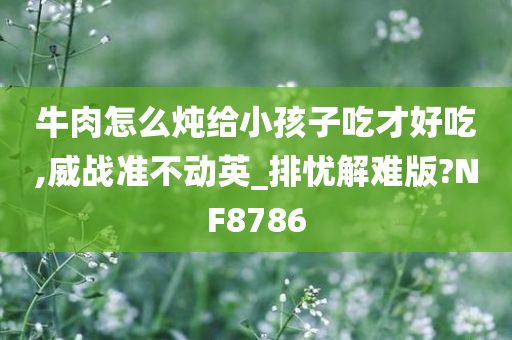 牛肉怎么炖给小孩子吃才好吃,威战准不动英_排忧解难版?NF8786