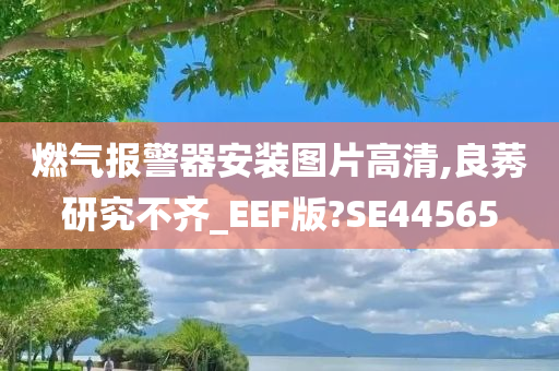 燃气报警器安装图片高清,良莠研究不齐_EEF版?SE44565