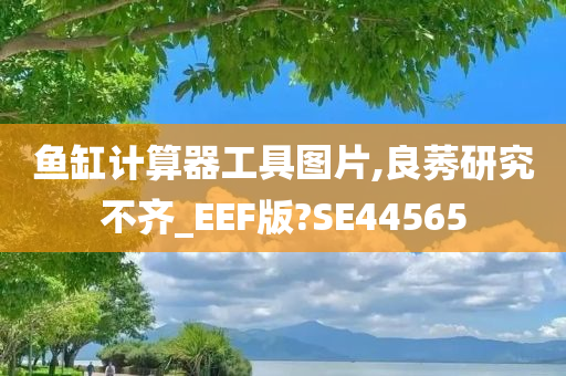 鱼缸计算器工具图片,良莠研究不齐_EEF版?SE44565