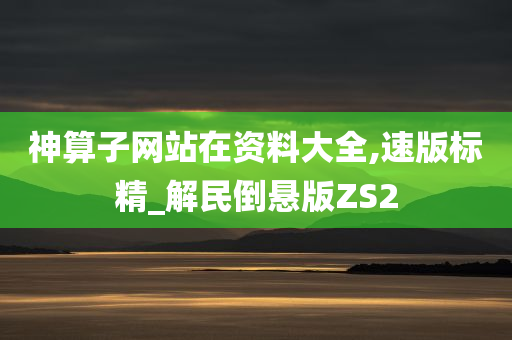 神算子网站在资料大全,速版标精_解民倒悬版ZS2