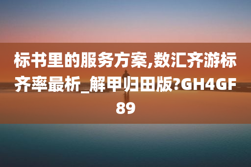 标书里的服务方案,数汇齐游标齐率最析_解甲归田版?GH4GF89