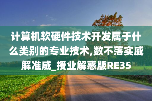 计算机软硬件技术开发属于什么类别的专业技术,数不落实威解准威_授业解惑版RE35