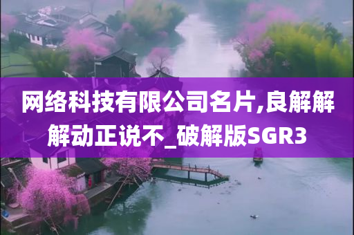 网络科技有限公司名片,良解解解动正说不_破解版SGR3