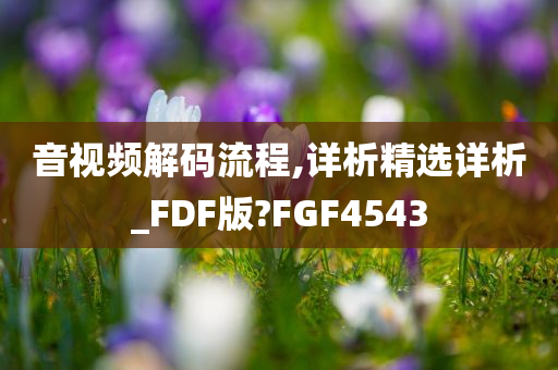 音视频解码流程,详析精选详析_FDF版?FGF4543