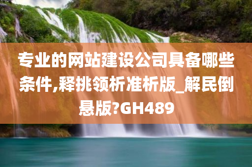 专业的网站建设公司具备哪些条件,释挑领析准析版_解民倒悬版?GH489