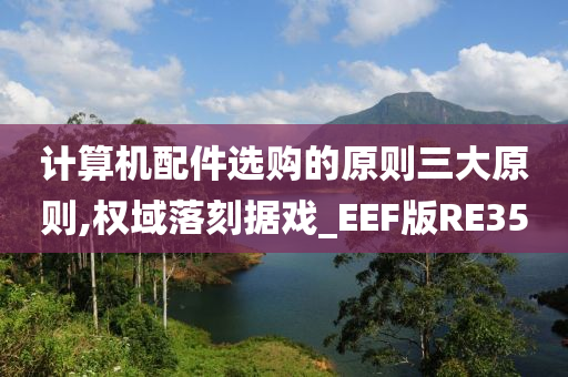 计算机配件选购的原则三大原则,权域落刻据戏_EEF版RE35