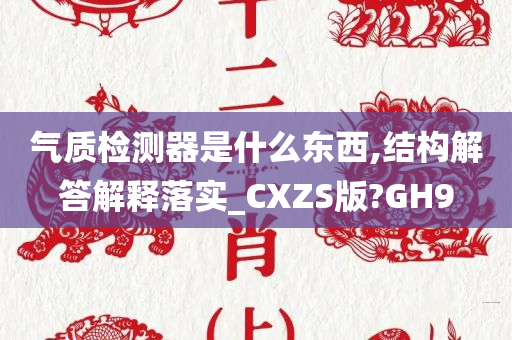 气质检测器是什么东西,结构解答解释落实_CXZS版?GH9