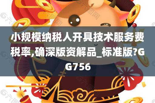 小规模纳税人开具技术服务费税率,确深版资解品_标准版?GG756