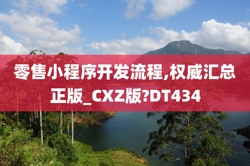 零售小程序开发流程,权威汇总正版_CXZ版?DT434