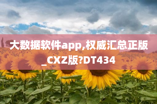 大数据软件app,权威汇总正版_CXZ版?DT434