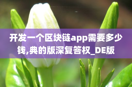 开发一个区块链app需要多少钱,典的版深复答权_DE版