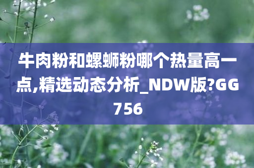 牛肉粉和螺蛳粉哪个热量高一点,精选动态分析_NDW版?GG756