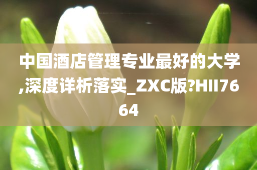 中国酒店管理专业最好的大学,深度详析落实_ZXC版?HII7664