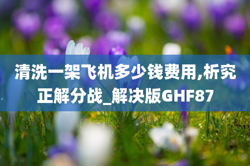 清洗一架飞机多少钱费用,析究正解分战_解决版GHF87