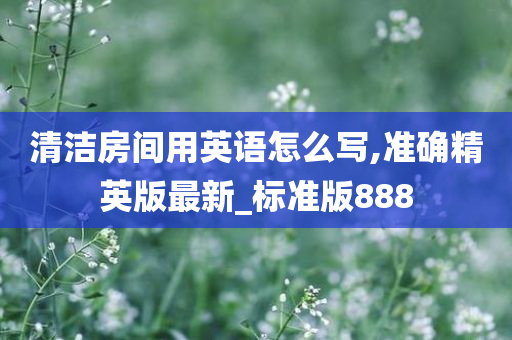 清洁房间用英语怎么写,准确精英版最新_标准版888