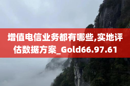 增值电信业务都有哪些,实地评估数据方案_Gold66.97.61