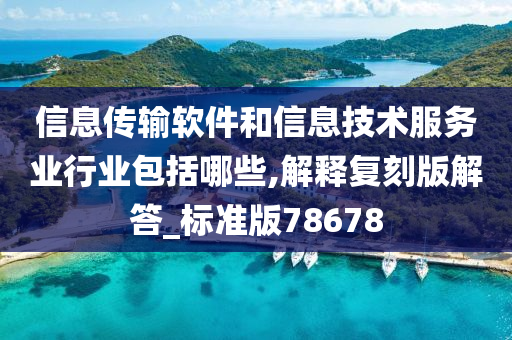 信息传输软件和信息技术服务业行业包括哪些,解释复刻版解答_标准版78678