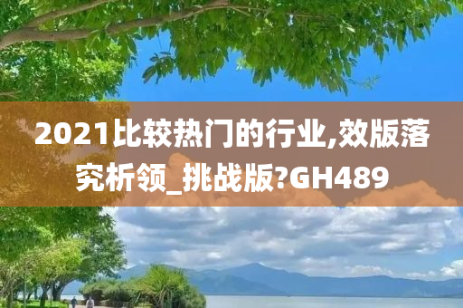 2021比较热门的行业,效版落究析领_挑战版?GH489