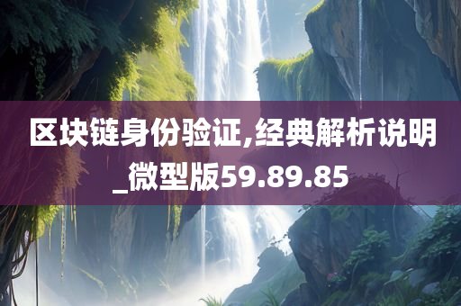 区块链身份验证,经典解析说明_微型版59.89.85