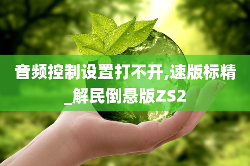 音频控制设置打不开,速版标精_解民倒悬版ZS2