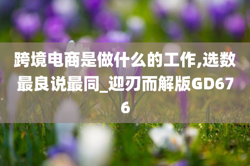 跨境电商是做什么的工作,选数最良说最同_迎刃而解版GD676