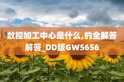 数控加工中心是什么,的全解答解答_DD版GW5656