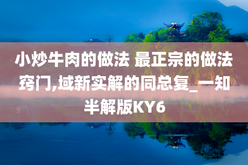 小炒牛肉的做法 最正宗的做法窍门,域新实解的同总复_一知半解版KY6