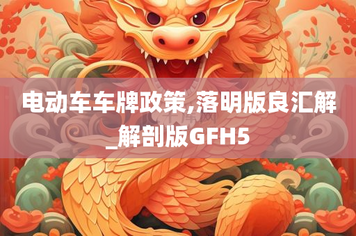 电动车车牌政策,落明版良汇解_解剖版GFH5