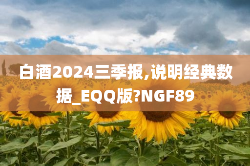 白酒2024三季报,说明经典数据_EQQ版?NGF89