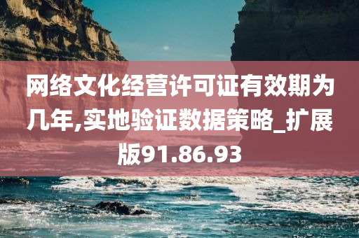 网络文化经营许可证有效期为几年,实地验证数据策略_扩展版91.86.93