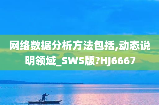 网络数据分析方法包括,动态说明领域_SWS版?HJ6667