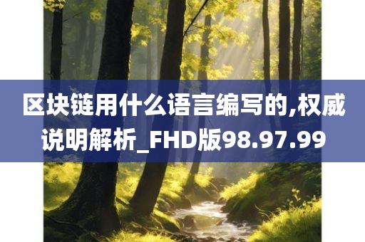 区块链用什么语言编写的,权威说明解析_FHD版98.97.99