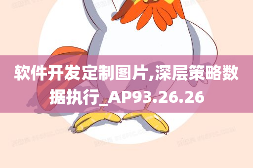 软件开发定制图片,深层策略数据执行_AP93.26.26