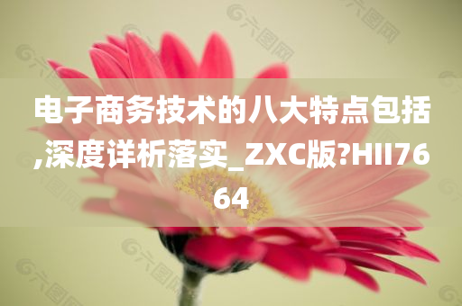 电子商务技术的八大特点包括,深度详析落实_ZXC版?HII7664