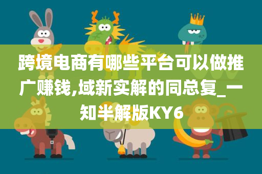 跨境电商有哪些平台可以做推广赚钱,域新实解的同总复_一知半解版KY6